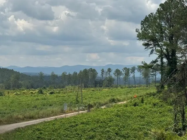 5.0 Acs Hwy 64, Copperhill, TN 37317 - Image #3