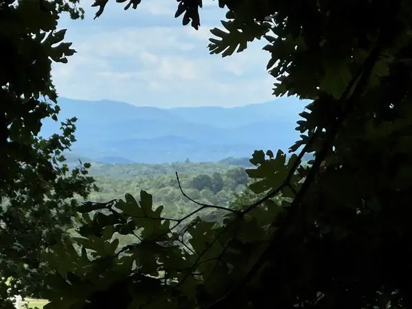 Lot 4 Picklesimer Mountain, Morganton, GA 30560