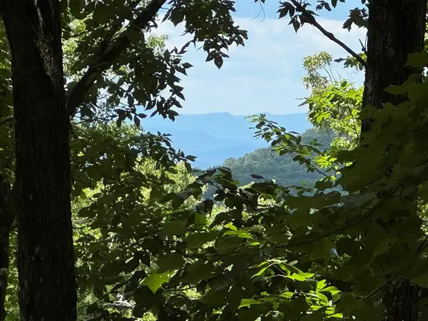 Lot 38 Picklesimer Mountain, Morganton, GA 30560