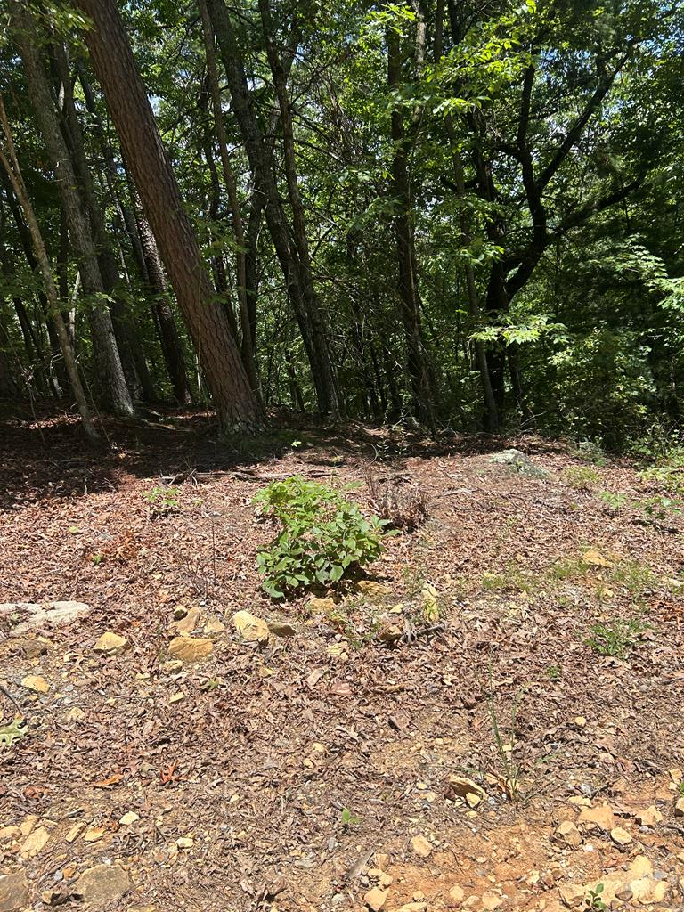 0 Skyview Acres Drive, Murphy, NC 28906 - Image #1