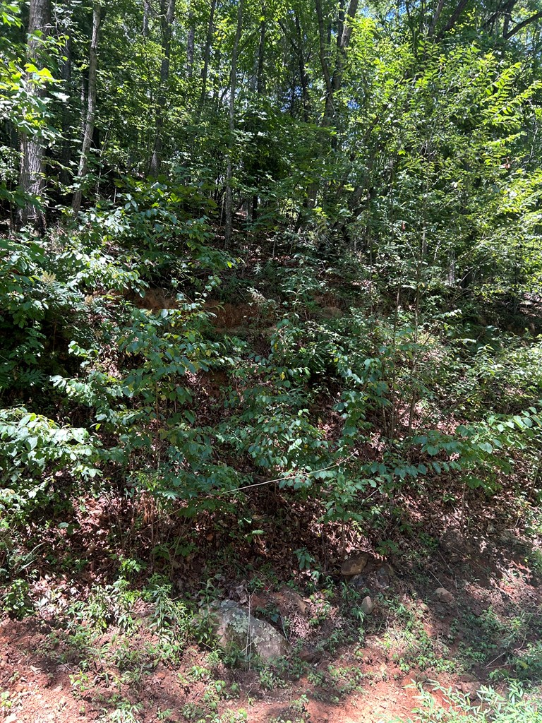 0 Skyview Acres Drive, Murphy, NC 28906 - Image #2