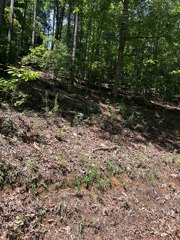 0 Skyview Acres Drive, Murphy, NC 28906 - Image #3