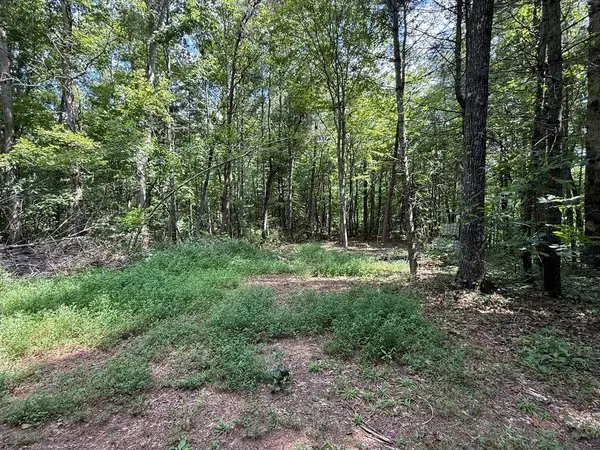 Lot 17 Larue Lane, Ellijay, GA 30540