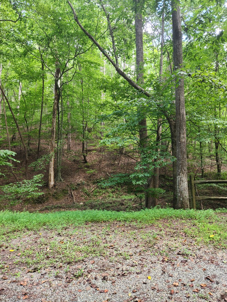 Lot 133 Shiloh Court, Ellijay, GA 30540 - #2
