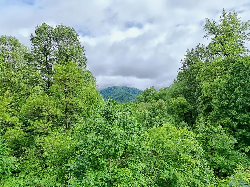 L2 Georgianna Lane, Bryson City, NC 28713 - Image #1
