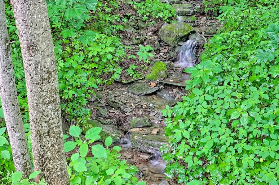 L2 Georgianna Lane, Bryson City, NC 28713 - Image #2