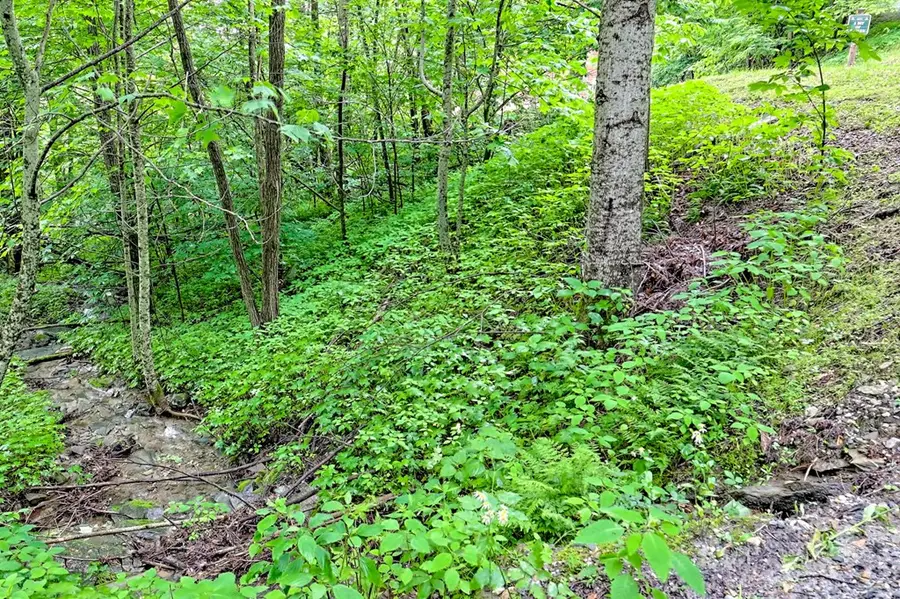 L2 Georgianna Lane, Bryson City, NC 28713 - Image #3