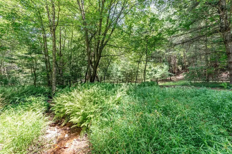 Lot 14 Rocking Chair Ridge, Mineral Bluff, GA 30559 - Image #3