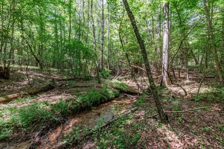 Lot 11 Rocking Chair Ridge, Mineral Bluff, GA 30559 - Image #3