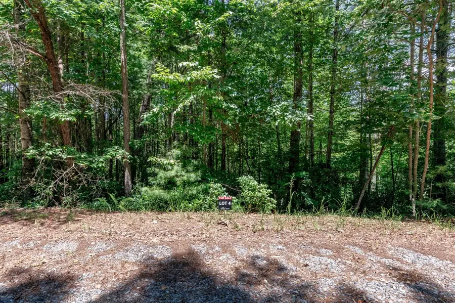 Lot 4 Rocking Chair Ridge, Mineral Bluff, GA 30559 - Image #3