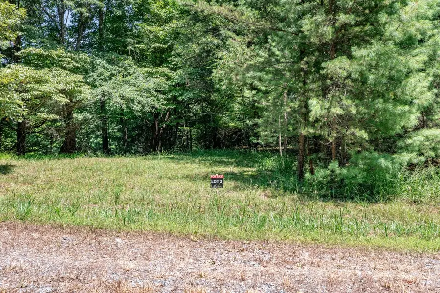 Lot 3 Rocking Chair Ridge, Mineral Bluff, GA 30559 - Image #3