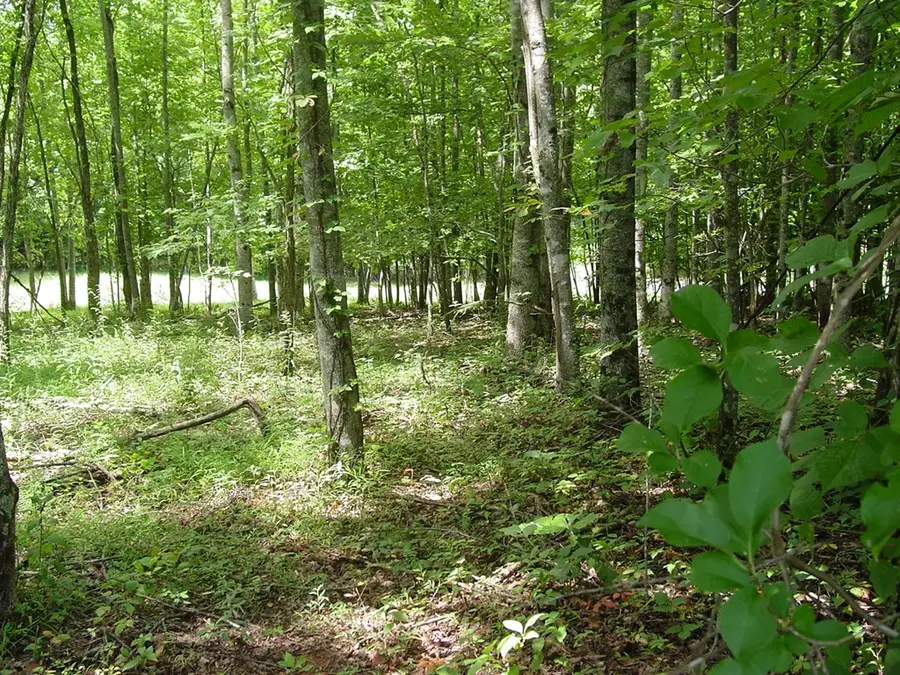 #13 Dan Knob, Hayesville, NC 28904 - #2