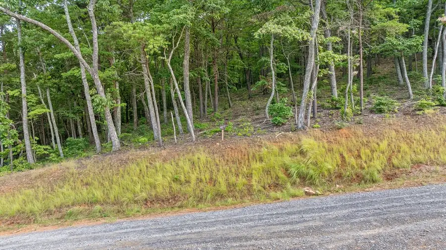 Lot 417 Shagbark Court, Talking Rock, GA 30175 - Image #2