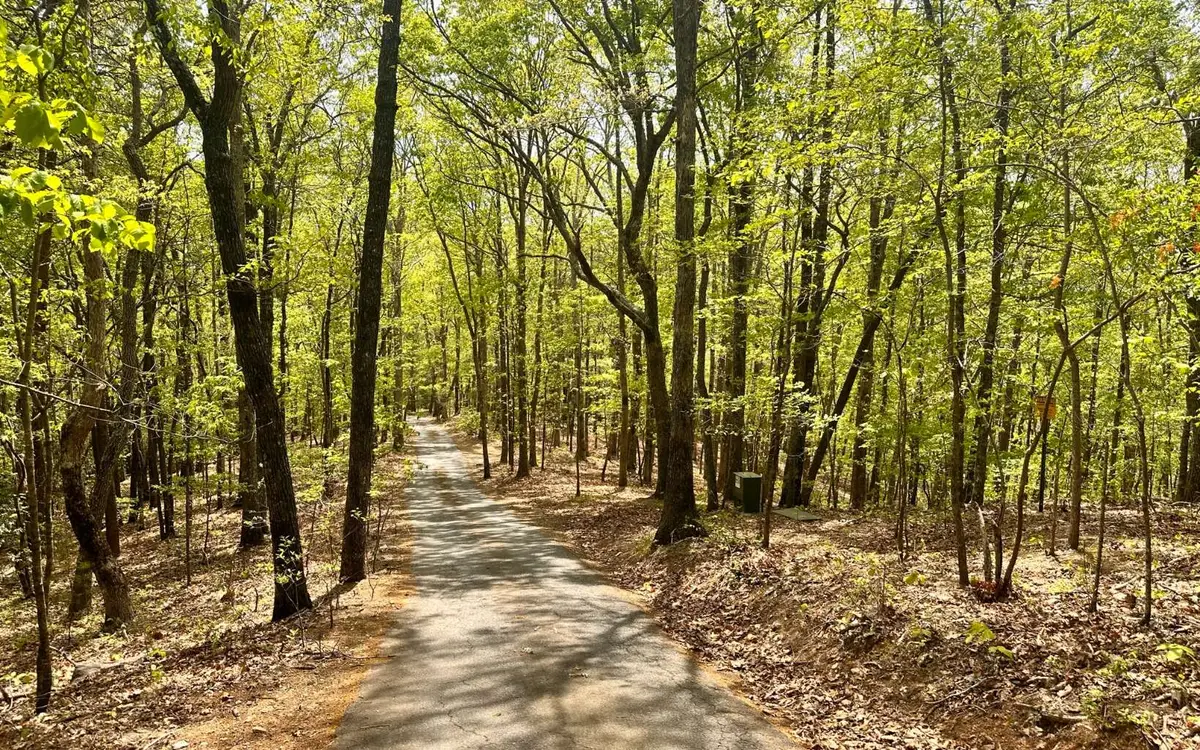 1 Thomas Town Road, Young Harris, GA 30582 - Image #1