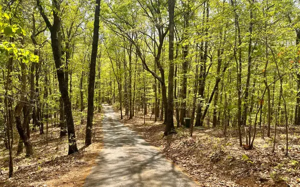 1 Thomas Town Road, Young Harris, GA 30582