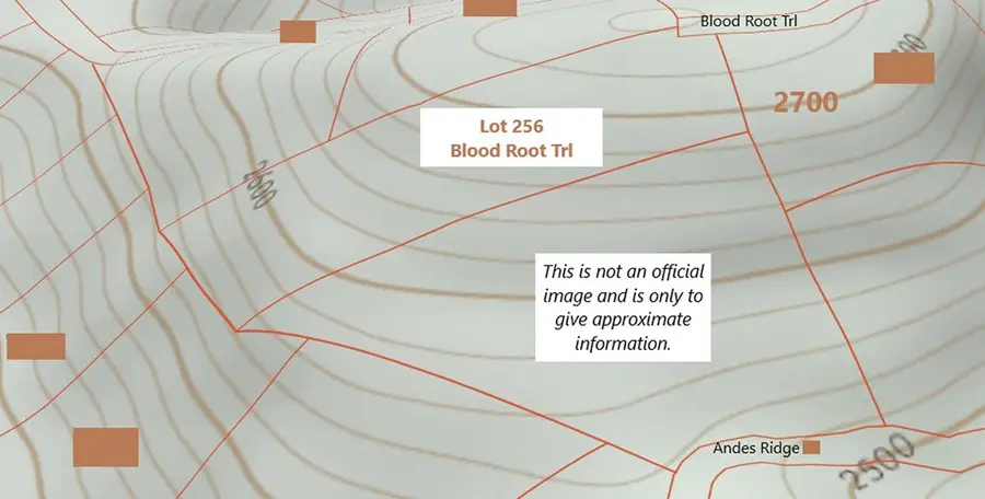256 Blood Root Trail, Ellijay, GA 30536 - #3
