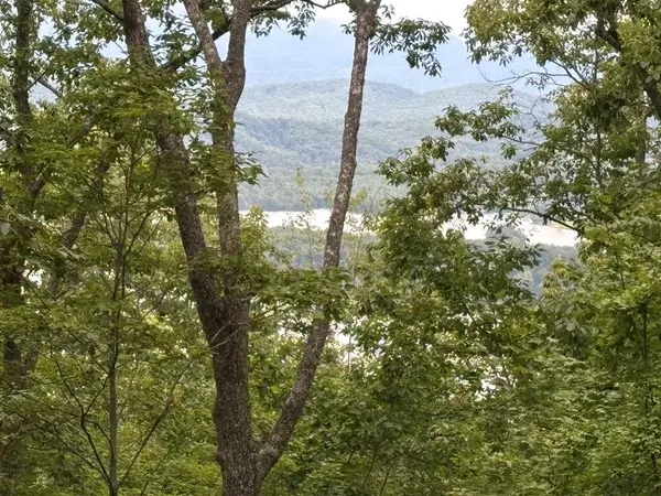 Lot 55 Eagles View, Hayesville, NC 28904