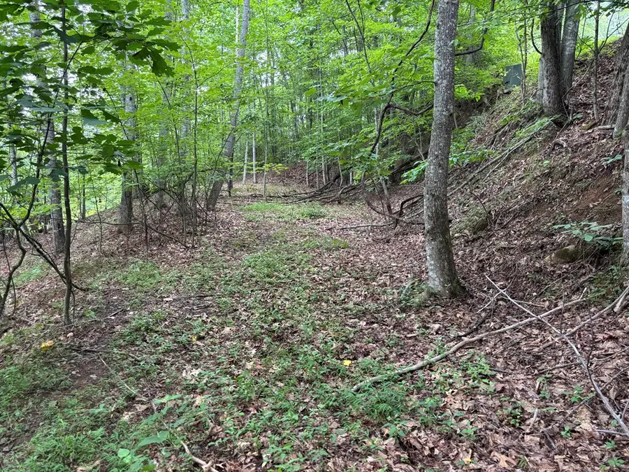 Lot 55 Eagles View #55, Hayesville, NC 28904 - Image #2