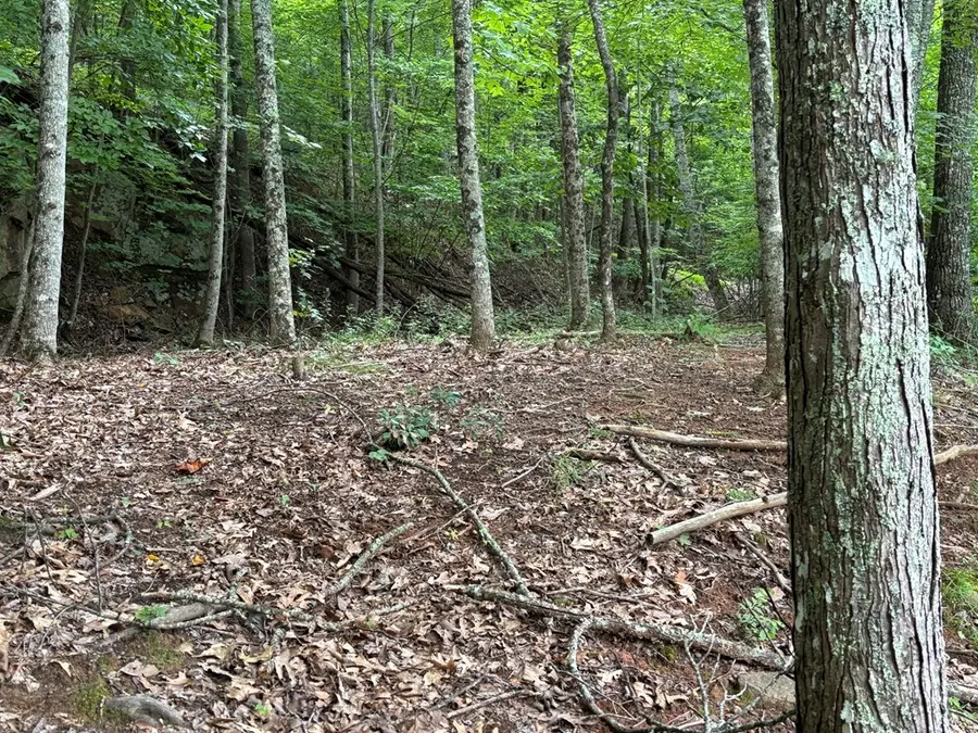 Lot 55 Eagles View #55, Hayesville, NC 28904 - Image #3