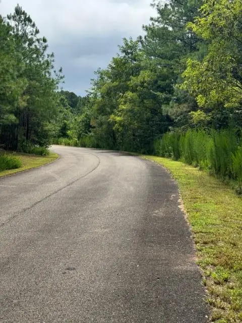 LT 43&44 Reece Mountain Road, Ellijay, GA 30536 - #2