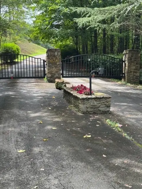 LT 43&44 Reece Mountain Road, Ellijay, GA 30536 - #3