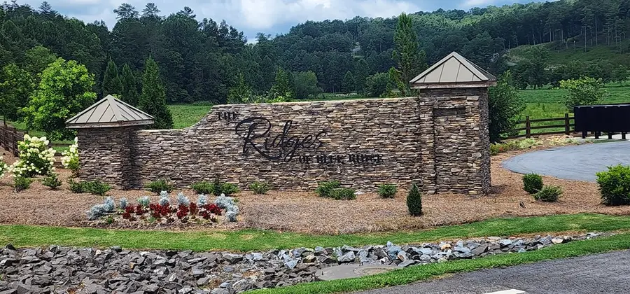 LT 106 Split Creek Road, Morganton, GA 30560 - Image #2