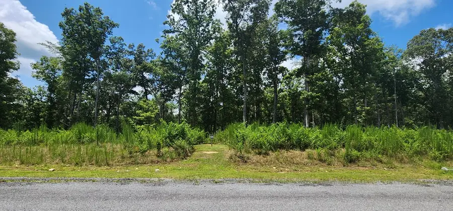 LT 106 Split Creek Road, Morganton, GA 30560 - Image #3