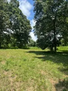 Lt4 Old Hwy 64e, Hayesville, NC 28904 - #2