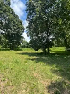 Lt4 Old Hwy 64e, Hayesville, NC 28904 - #3