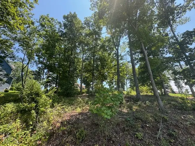 Lot 5 Hunter Lane, Blairsville, GA 30512 - Image #2