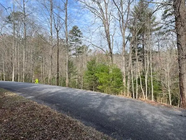 Lot 10 Lower Fox Trail Road, Blairsville, GA 30512