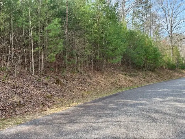 Lot 10 Lower Fox Trail Road, Blairsville, GA 30512 - #3