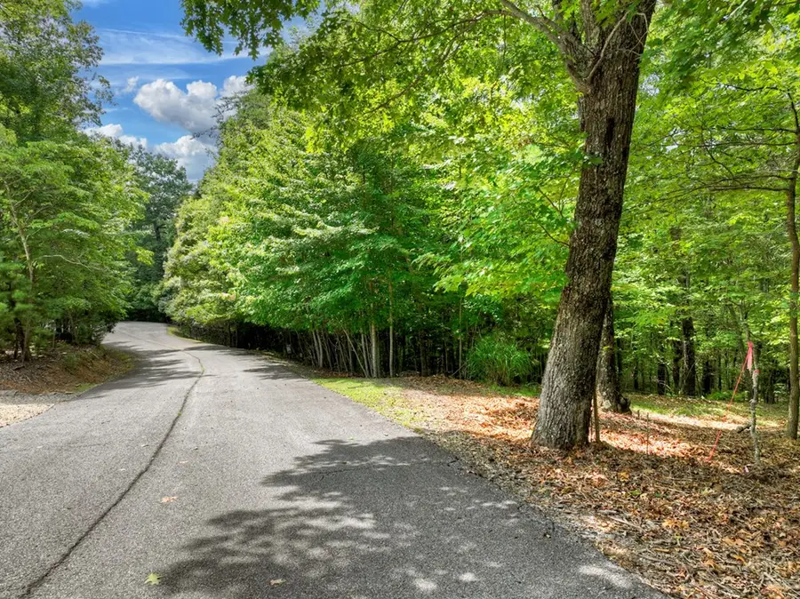 2.27ac River Crest Lane, Mineral Bluff, GA 30559 - Image #3