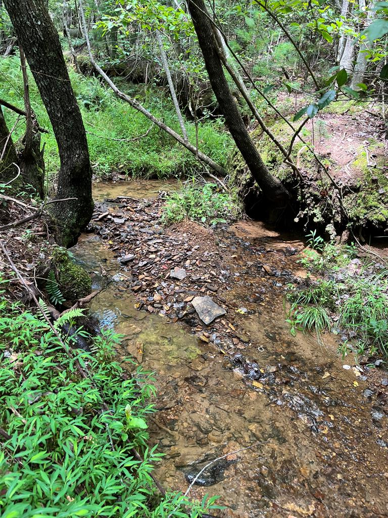 TBD Sheep Knob, Brasstown, NC 28906 - Image #1