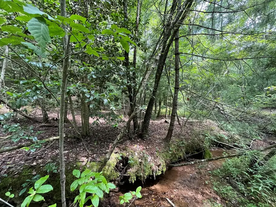 TBD Sheep Knob, Brasstown, NC 28906 - Image #3