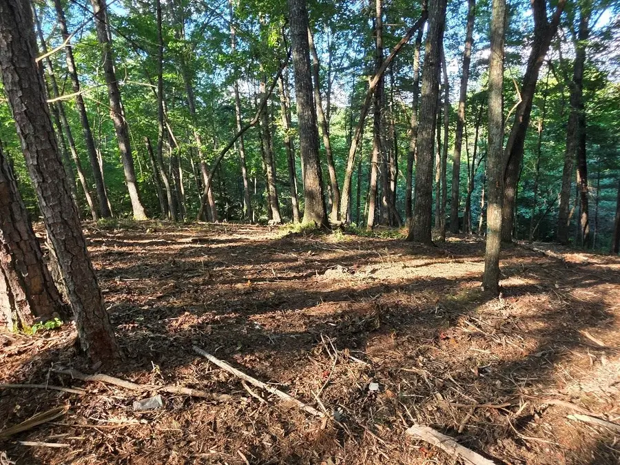 124R Red Oak Trail, East Ellijay, GA 30540 - #2