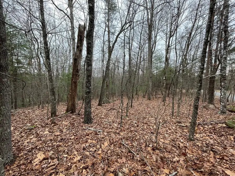 Lot 40 Squirrel Hunting Road, Ellijay, GA 30536 - Image #2