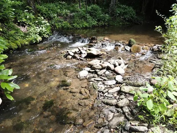 00 Stiles Road, Turtletown, TN 37391