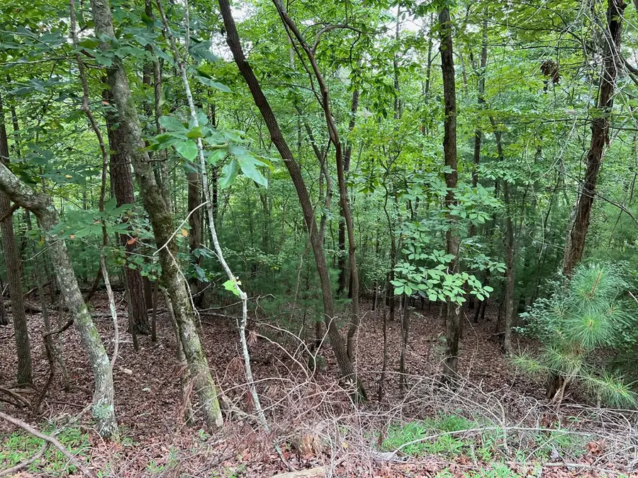 167 Tara Drive, Ellijay, GA 30540 - #3