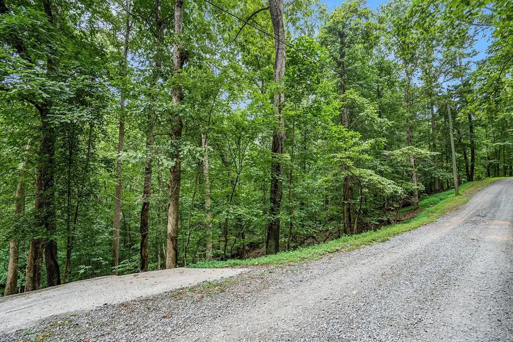 Lot 72 Huron Circle, Ellijay, GA 30540 - Image #1