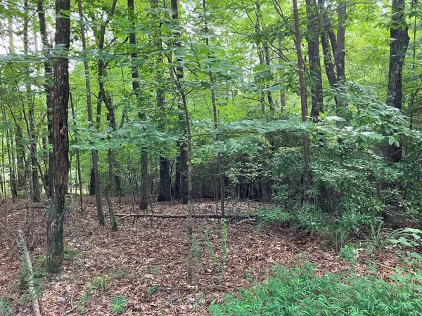 Lot 41 Floris Mountain Road, Murphy, NC 28906
