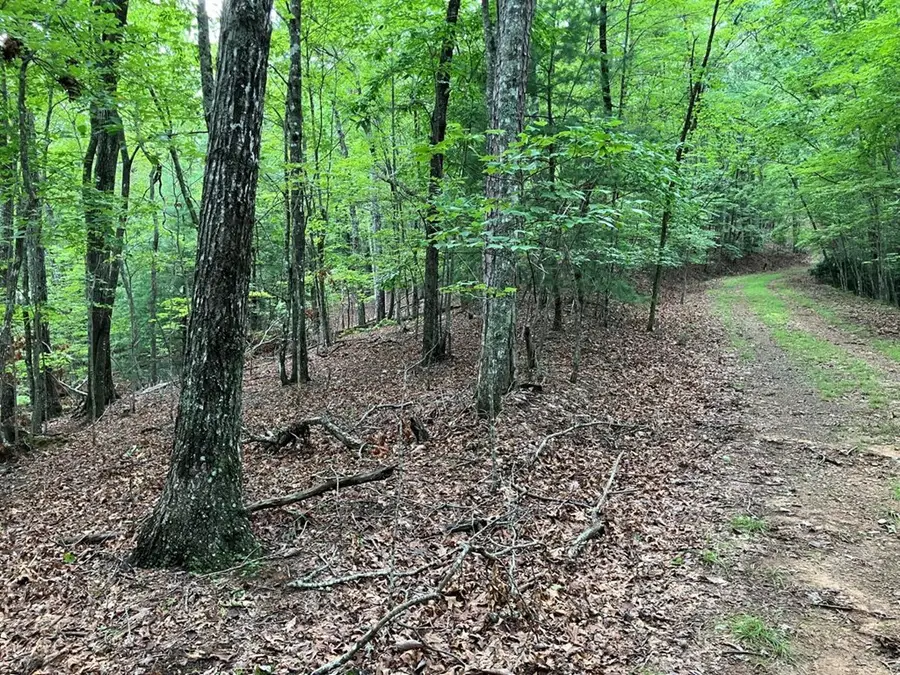 Lot 41 Floris Mountain Road, Murphy, NC 28906 - Image #3