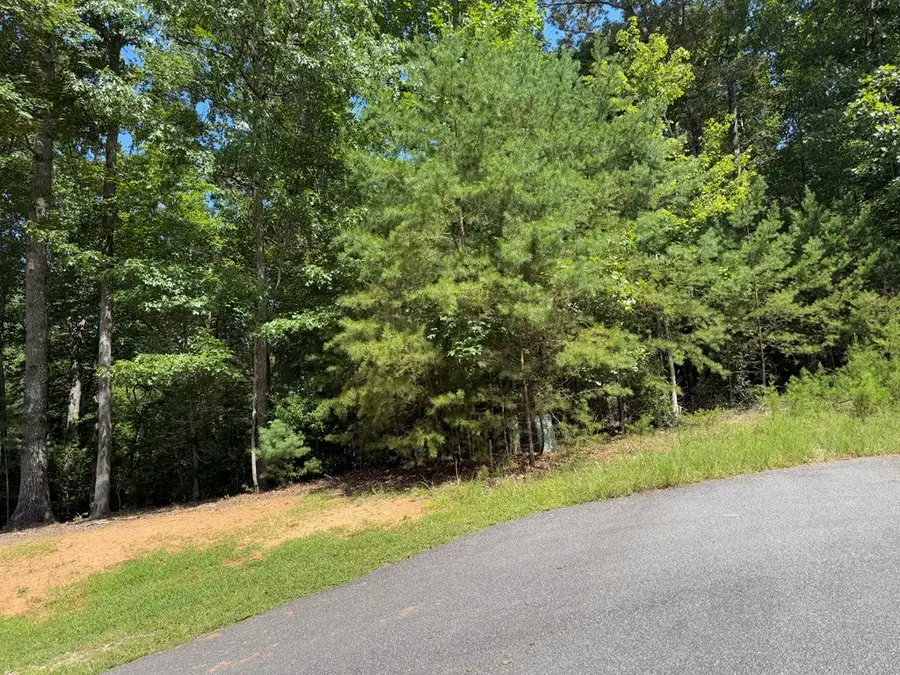 Lot 106 Asheland Cove, Young Harris, GA 30582 - Image #2