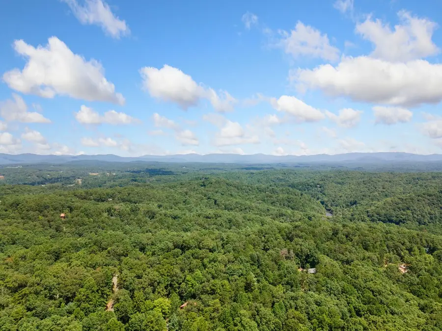 173 Birchwood Drive, Ellijay, GA 30540 - Image #3