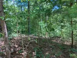 LT 797 Woodbine Lane, Ranger, GA 30734