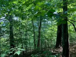 LT 797 Woodbine Lane, Ranger, GA 30734 - Image #2