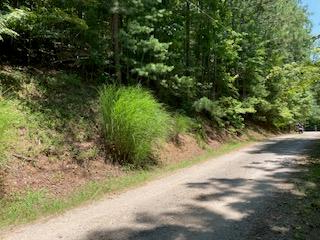 Lot 815 Lonsdale Lane, Ranger, GA 30734 - Image #1