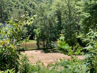 Lot 815 Lonsdale Lane, Ranger, GA 30734 - Image #2