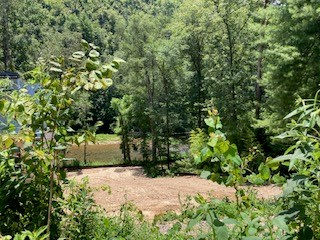 Lot 815 Lonsdale Lane, Ranger, GA 30734 - Image #3