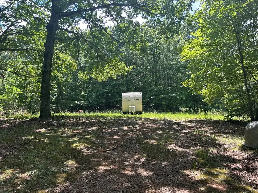 22.5 ac Hwy 2, Blue Ridge, GA 30513 - Image #3